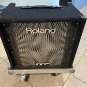 Roland DB-500 gitárkombó gurulós rackben