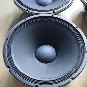 Electro-Voice EVM 15B OEM 15” Mèlyhangszóró