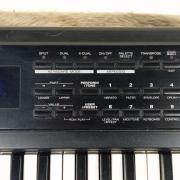 Roland XP-10 +Merge 5