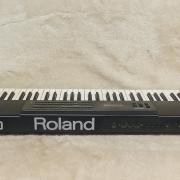 Roland XP-10 +Merge 5