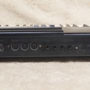 Roland XP-10 +Merge 5