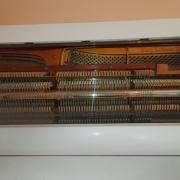 Zongora